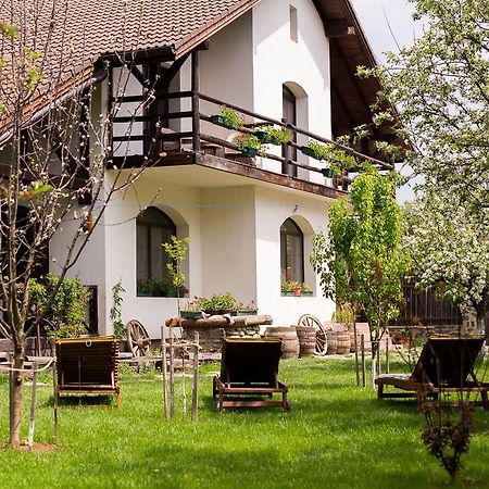 Casa Mosului - Transfagarasan Bed & Breakfast Cîrţişoara Kültér fotó
