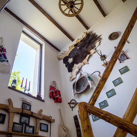Casa Mosului - Transfagarasan Bed & Breakfast Cîrţişoara Kültér fotó