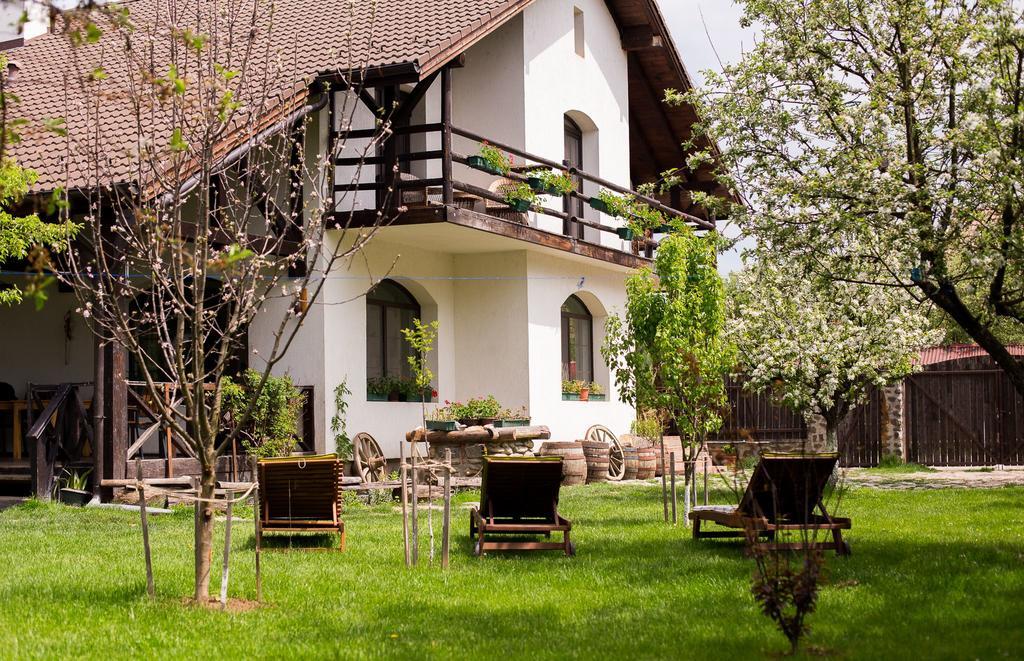 Casa Mosului - Transfagarasan Bed & Breakfast Cîrţişoara Kültér fotó