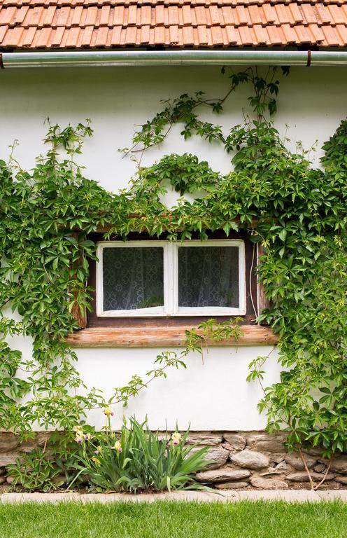 Casa Mosului - Transfagarasan Bed & Breakfast Cîrţişoara Kültér fotó