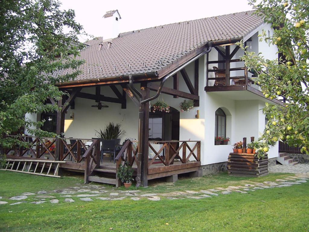 Casa Mosului - Transfagarasan Bed & Breakfast Cîrţişoara Kültér fotó