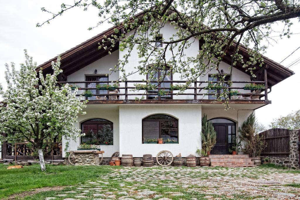 Casa Mosului - Transfagarasan Bed & Breakfast Cîrţişoara Kültér fotó