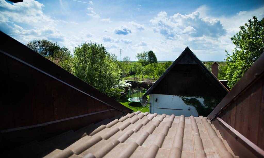 Casa Mosului - Transfagarasan Bed & Breakfast Cîrţişoara Kültér fotó