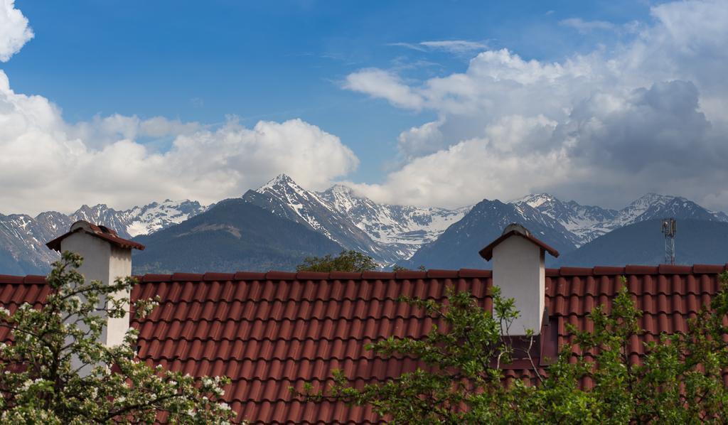 Casa Mosului - Transfagarasan Bed & Breakfast Cîrţişoara Kültér fotó