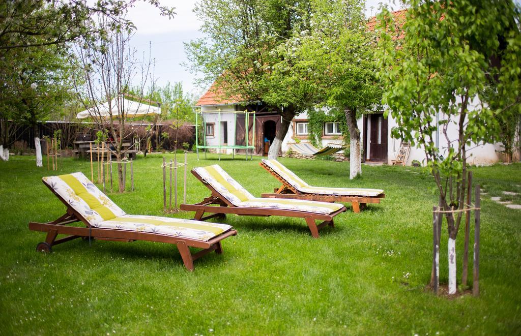 Casa Mosului - Transfagarasan Bed & Breakfast Cîrţişoara Kültér fotó