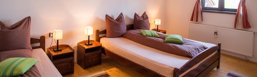 Casa Mosului - Transfagarasan Bed & Breakfast Cîrţişoara Kültér fotó