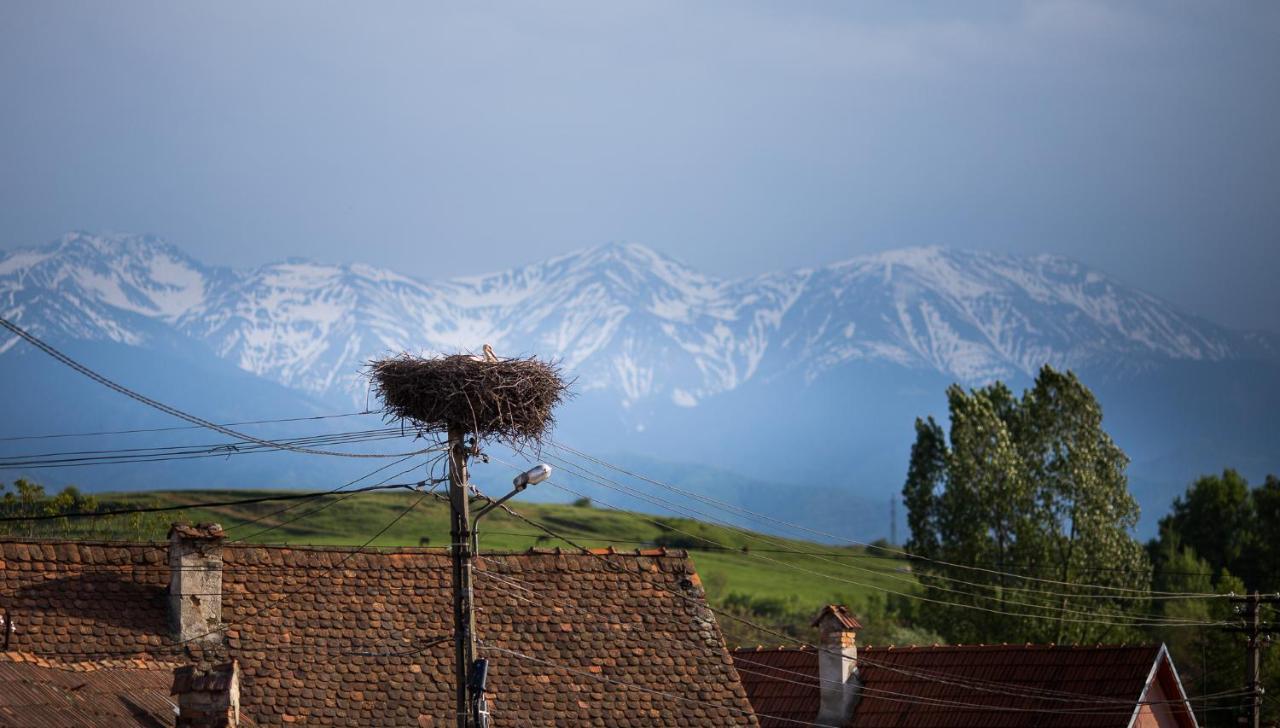 Casa Mosului - Transfagarasan Bed & Breakfast Cîrţişoara Kültér fotó